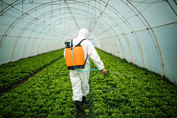 Best Pest Prevention Services  in Hopewell, VA