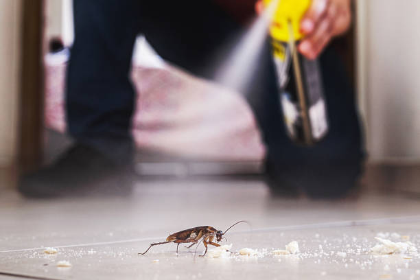Best Pest Control Treatment  in Hopewell, VA